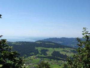 Blick vom Brüggelekopf auf Pfänder und Bodensee