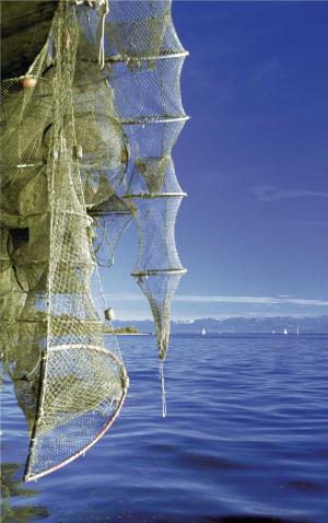 Foto: M. Bichler – Fischernetze Foto: M. Bichler – Fischernetze