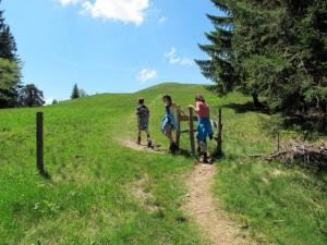 Nach einem kurzen Waldanstieg erreicht man den freien Gipfelrücken Nach einem kurzen Waldanstieg erreicht man den freien Gipfelrücken