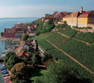Foto: Staatsweingut Meersburg - Umgeben von Reben oberhalb des Meersburger Hafen